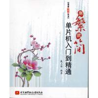 [M]删繁就简:单片机入门到精通/博客藏经阁丛-9787512402737