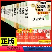 [人教版 12册]九年级上下册名著 [正版]九年级下册必读名著我是猫契诃夫短篇小说选格列佛游记围城原著全译本注释人民教育