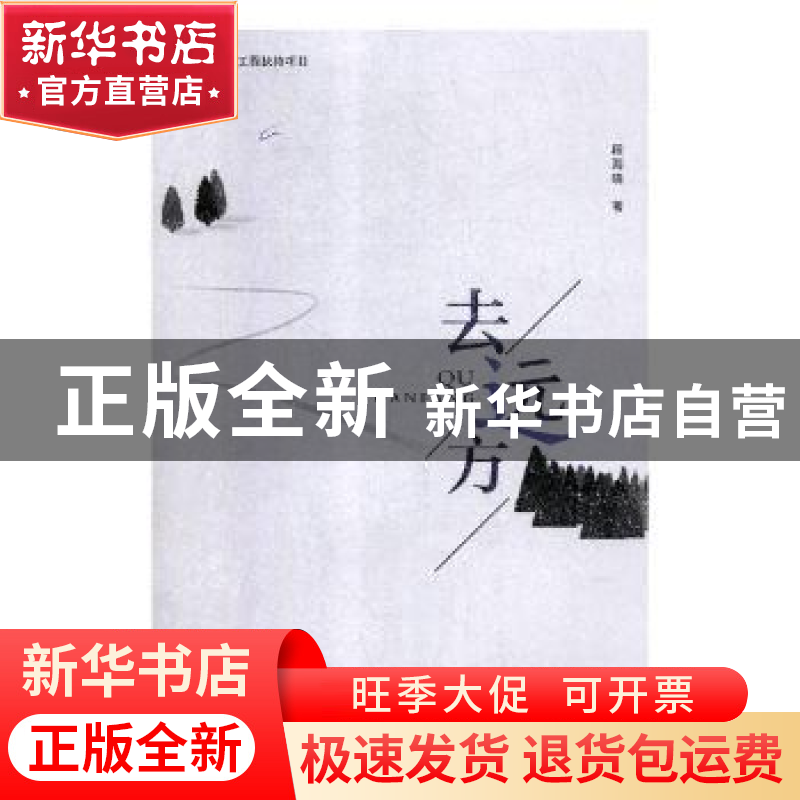 正版 去远方 段海晓著 中国文联出版社 9787519039868 书籍