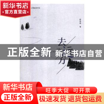 正版 去远方 段海晓著 中国文联出版社 9787519039868 书籍