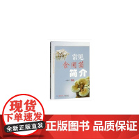 常见食用菌简介