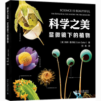 音像科学之美 显微镜下的植物(英)科林·索尔特
