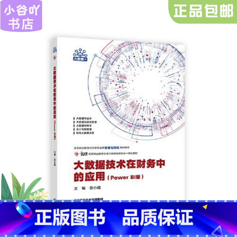 [正版]二手大数据技术在财务中的应用(Power BI版) 谷小城 高等教