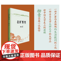 在旷野里 第十七届“五个一工程”优秀作品。一部出自文学大师之手的大作品 ——新中国文学史上的遗珠《在旷野里》