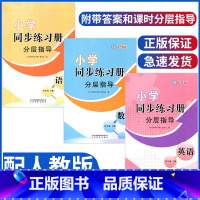 语数英同步练习册分层指导 四年级下 [正版]24年四年级下册语文数学英语小学同步练习册分层指导配人教版四年级下册语文数学