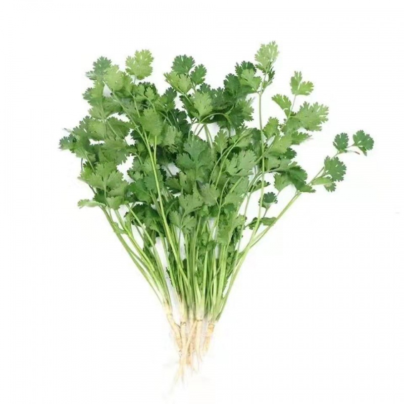 我们为您提供青菜香菜的优质评价,包括青菜香菜商品评价,晒单,百万