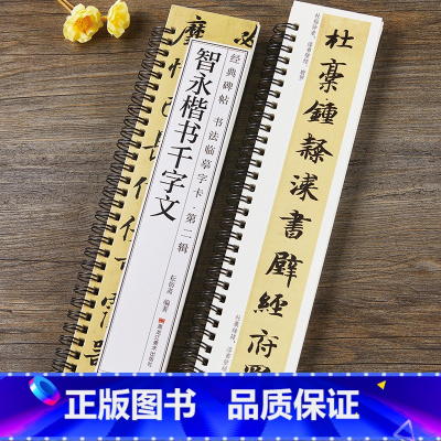 [正版]隋智永楷书千字文毛笔书法字帖真书经典碑帖书法临摹字卡原大版简体旁注活页