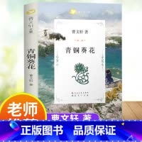青铜葵花 [正版]青铜葵花完整版原版曹文轩系列儿童文学8-12岁小学生课外阅读书籍草房子芦花鞋人教版三四五六年级课外书人