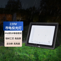 雷士照明220V户外市电投光灯大功率LED灯照明IP65防水工地庭院灯