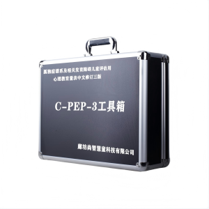 尚智慧童SZHT-CPEP3 C-PEP-3自闭症评估工具箱早教教具