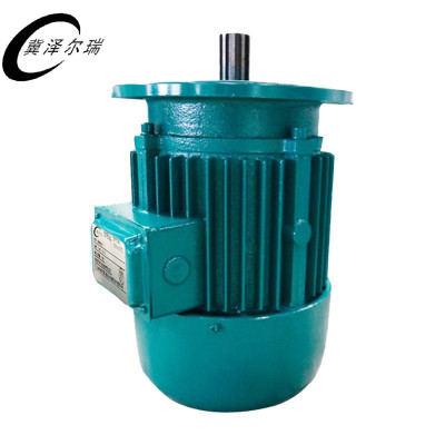 冀泽尔瑞 维修电机 JZER - DJ13 台