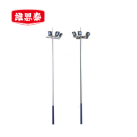维思泰 高杆灯杆 JW9612D 根