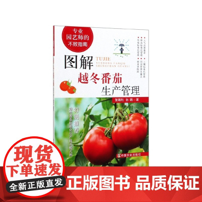 图解越冬番茄生产管理张海利 孙娟主编 9787109263765 中国农业出版社