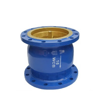 伟鹏双兴 法兰消声止回阀 DN65 台