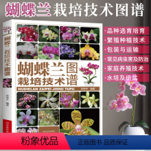[正版]蝴蝶兰栽培技术图谱 兰花种植技术书籍品种选育培育繁殖方法书 包装运输常见病虫害及防治组盆家庭养殖水培方法装饰与