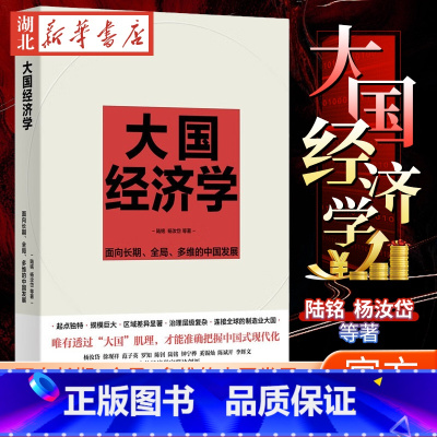 [正版]大国经济学 面向长期全局多维的中国发展 陆铭 杨汝岱等著 解读中国经济的通识之作 读懂转型与发展中的中国 上海