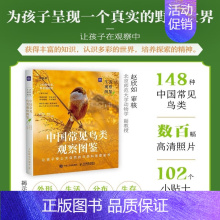 生活观察图鉴 中国常见鸟类观察图鉴 [正版]中国常见鸟类观察图鉴 生活观察图鉴观鸟摄影作品 常见的鸟类外形识别生活习性分