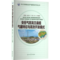 正版新书]安岳气田龙王庙组气藏特征与高效开发模式李熙喆 等 编