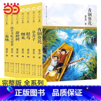 曹文轩文集(全7册) [正版]书籍草房子(当当专享定制版)曹文轩纯美小说系列三四六五年级中小学生课外阅读青铜葵花姊妹篇儿