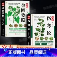 [正版]全2册伤寒论张仲景伤寒论+金匮要略原版彩图典藏版含原文注释译文杂病论医药大全中医书籍中草药彩图书医学类中药中医