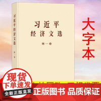 正版习近平经济文选第一卷 大字本 中央文献出版社