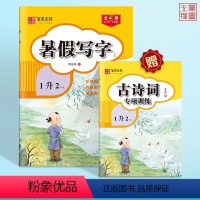 [1升2年级]暑假语文字帖·楷书 [正版]暑假练字帖正楷一二三四五年级下册人教版小学生语文生字暑假字帖笔画笔顺临摹描红练