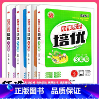 数学 小学三年级 [正版]小学数学培优三四五六3456年级基础提高上下册通用第三次修订小学数学专项训练练习解题方法技巧与