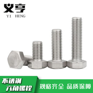 义亨 不锈钢六角螺栓 M6*25 个