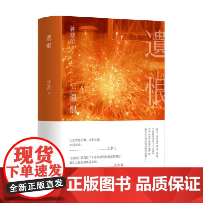 遗恨 钟晓阳 著 小说