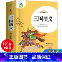 三国演义 768页 [正版]爱德教育 青少版经典名著书库三国演义 完整本 小学生青少年版课外书 三四五六年级精讲细评考点