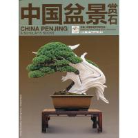 正版新书]中国盆景赏石2013-2中国盆景艺术家协会 主编97875038