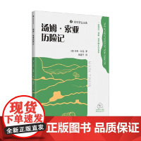汤姆 索亚历险记 马克·吐温 著 小说