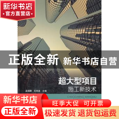 正版 超大型项目施工新技术 吴瑞卿,关而道主编 中国环境出版社