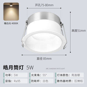 雷士照明led筒灯嵌入式家用过道玄关走廊天花灯无主灯商用大尺寸孔灯
