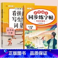 同步练字帖+看拼音写词语 一年级下 [正版]五年级下册语文同步练字帖人教版写好中国字小学每日一练小学生英语衡水体5下学期