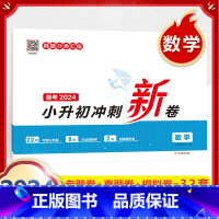 6年级 数学 小升初冲刺新卷 小学通用 [正版]小学期末冲刺新卷语文数学一年级二年级三年级上册下册四五六年级人教版单元真