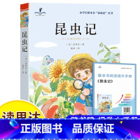 昆虫记 [正版]读思达 昆虫记 法布尔著 整本书阅读 四年级 上册 2024秋季 快乐读书吧