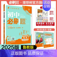 化学 LJ 九年级下 [正版]理想树2025版初中必刷题九年级下册化学鲁教版LJ初三必刷题同步练习中考复习资料模拟题辅导
