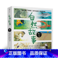 自然故事 第3辑 [正版]自然故事合辑任选 4-8岁 儿童自然科普读物绘本 国际大奖获奖插画家 世界知名获奖插画家共同创