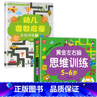 [全2册]5-6岁左右脑思维训练+数学逻辑思维训练 [正版]全套4册 左右脑思维训练2-3-4-5-6岁 幼儿全脑开发大