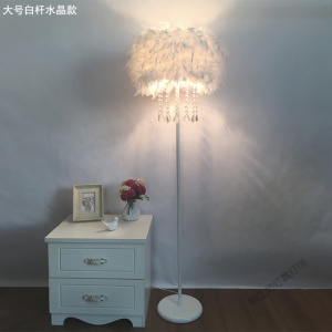 苏宁放心购 落地灯ins风羽毛卧室公主北欧客厅创意立式台灯具灯饰网红床头灯