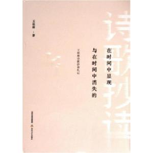 正版新书]在时间中显现与在时间中消失的:王桂林诗歌抄读札记王