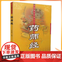 正版 中国佛学经典文库:药师经[简体横排,经文+译文]宋先伟/编著 大众文艺出版社