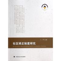 音像社区矫正制度研究王平