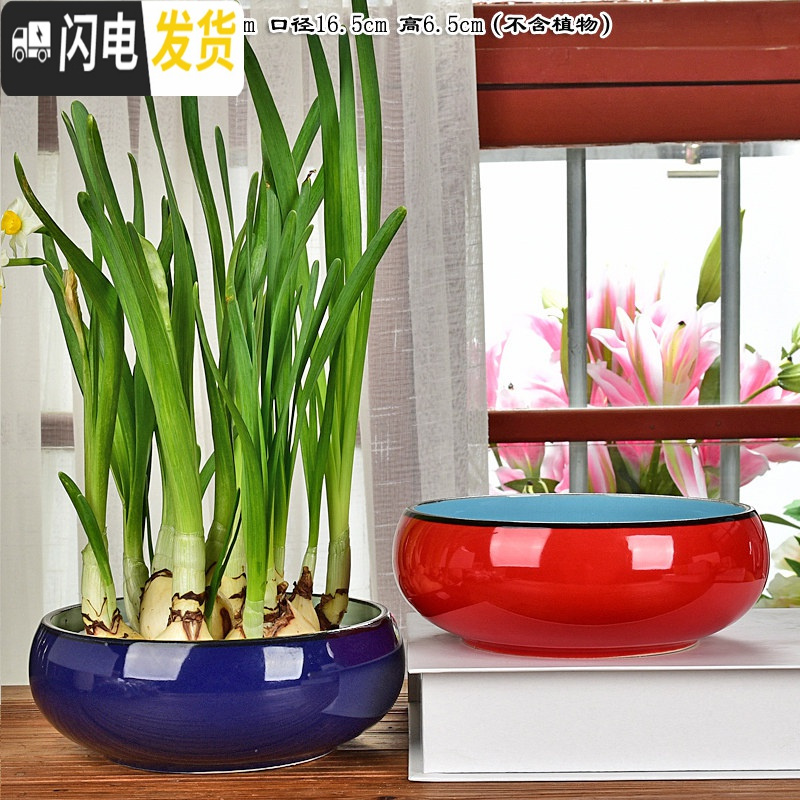 三维工匠陶瓷大号家用室内无孔铜钱一叶莲碗莲盆多肉大口径水培 古兰花盆2件套(无孔水培) 中等花盆容器