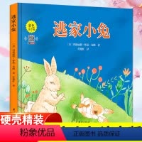 单本全册 [正版]逃家小兔 彩色注音版 (美)玛格丽特·怀兹·布朗 著 任艳红 译 绘本/图画书/少儿动漫书少儿 书店图