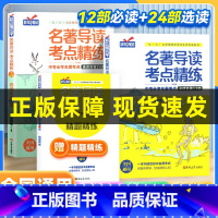 [四大名著测试卷]红楼梦+水浒传+西游记+三国演义 初中通用 [正版]2024名著导读考点精练初中 四大名著导读初中语文