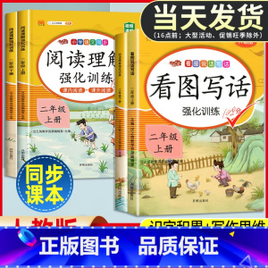 [3本]看图写话+语数同步练习簿 二年级上 [正版]看图写话一年级二年级上册下册人教版老师每日一练专项强化训练范文大全小