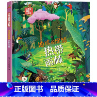 地球的绿肺-热带雨林 [正版]硬壳精装]小学生趣味大科学全套8册精美插图儿童百科全书关于海洋生物南极北极垃圾分类自然灾害