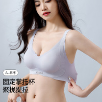 内衣女小胸聚拢提拉上托显大无痕舒适固定杯夏季薄款无钢圈文胸罩